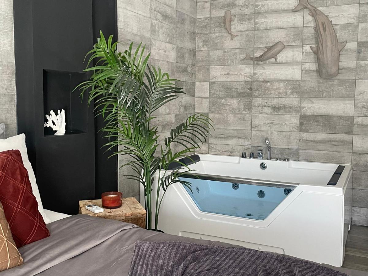 Superbe Appartement Avec Balneo. Saint-Cyprien  Exteriér fotografie